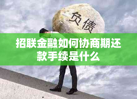 招联金融如何协商期还款手续是什么