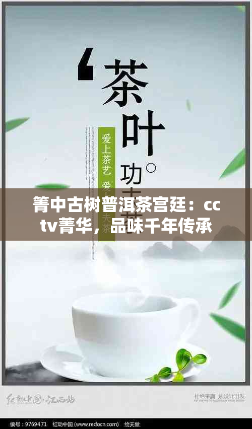 箐中古树普洱茶宫廷：cctv菁华，品味千年传承