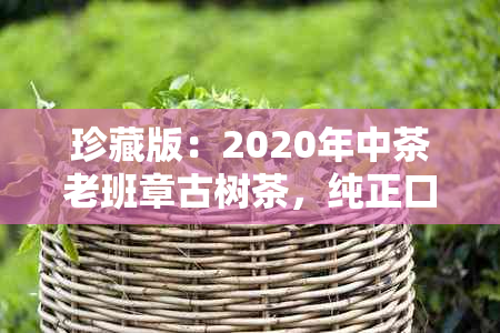 珍藏版：2020年中茶老班章古树茶，纯正口感与独特风味的完美结合