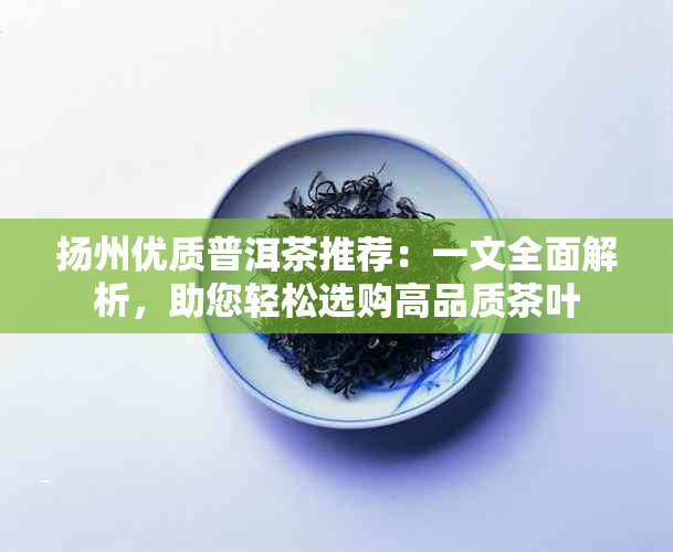 扬州优质普洱茶推荐：一文全面解析，助您轻松选购高品质茶叶