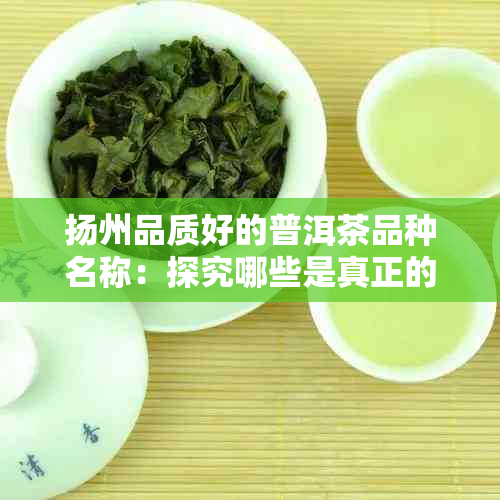 扬州品质好的普洱茶品种名称：探究哪些是真正的优质茶