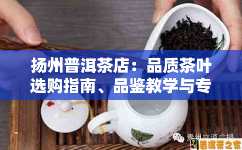 扬州普洱茶店：品质茶叶选购指南、品鉴教学与专业服务一站式体验