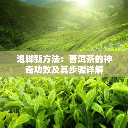 泡脚新方法：普洱茶的神奇功效及其步骤详解