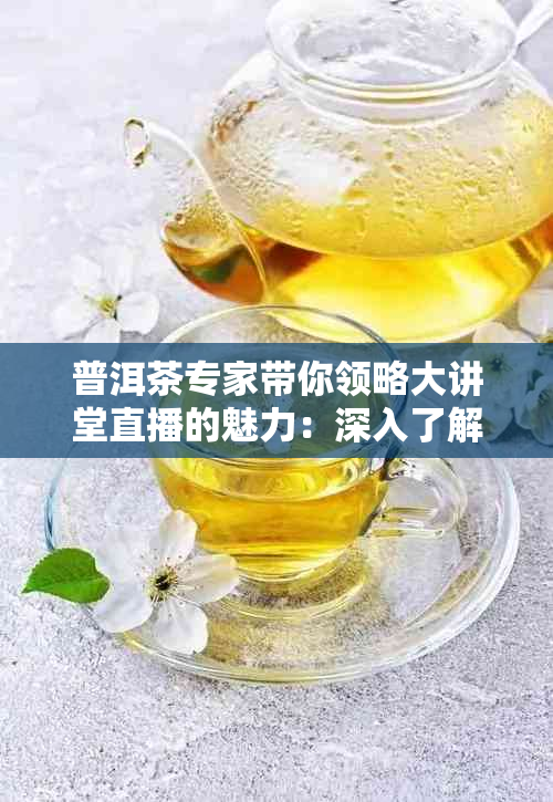 普洱茶专家带你领略大讲堂直播的魅力：深入了解茶频道中的普洱茶世界