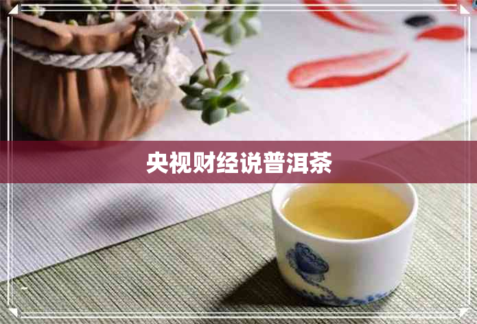 央视财经说普洱茶