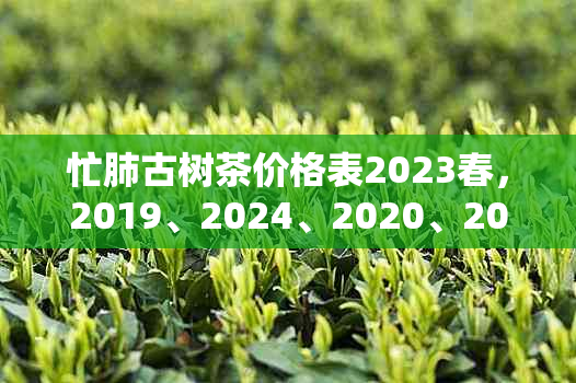 忙肺古树茶价格表2023春，2019、2024、2020、2021年各年份价格对比