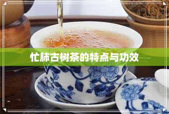 忙肺古树茶的特点与功效