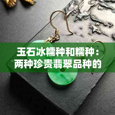 玉石冰糯种和糯种：两种珍贵翡翠品种的比较分析