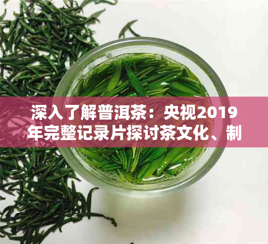 深入了解普洱茶：央视2019年完整记录片探讨茶文化、制作工艺与品鉴技巧