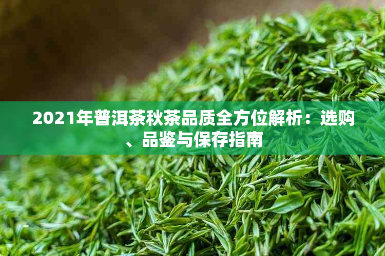 2021年普洱茶秋茶品质全方位解析：选购、品鉴与保存指南