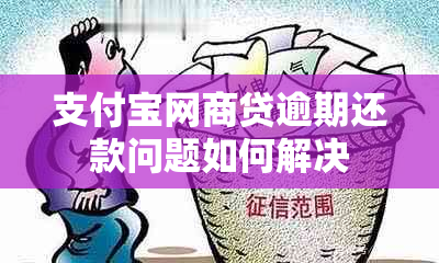 支付宝网商贷逾期还款问题如何解决