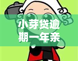 小芽贷逾期一年亲身经历