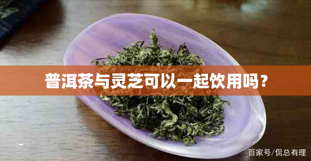 普洱茶与灵芝可以一起饮用吗？