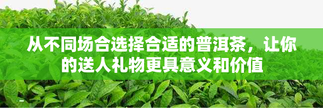 从不同场合选择合适的普洱茶，让你的送人礼物更具意义和价值