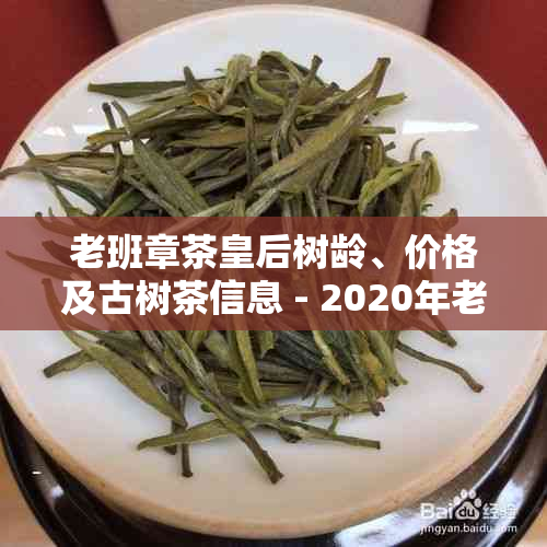 老班章茶皇后树龄、价格及古树茶信息 - 2020年老班章茶王与茶皇报价