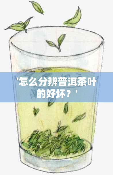 '怎么分辨普洱茶叶的好坏？'