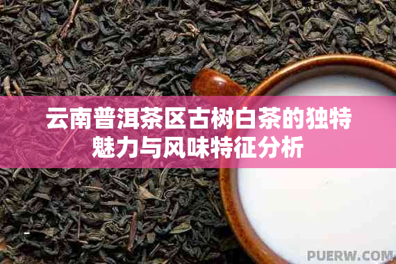 云南普洱茶区古树白茶的独特魅力与风味特征分析