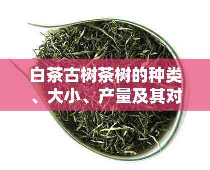 白茶古树茶树的种类、大小、产量及其对茶叶品质的影响：一篇全面的探索