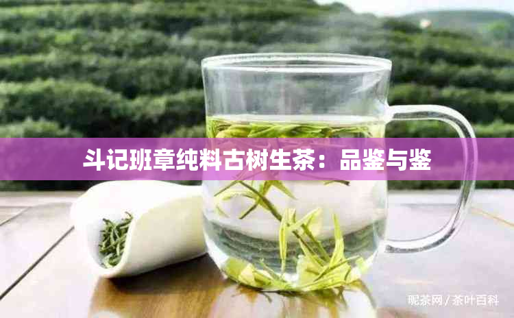 斗记班章纯料古树生茶：品鉴与鉴