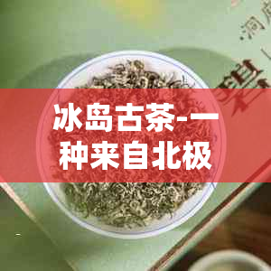 冰岛古茶-一种来自北极圈的独特茶叶品种及其品质特点