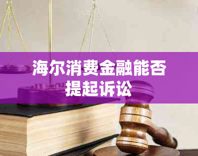 海尔消费金融能否提起诉讼