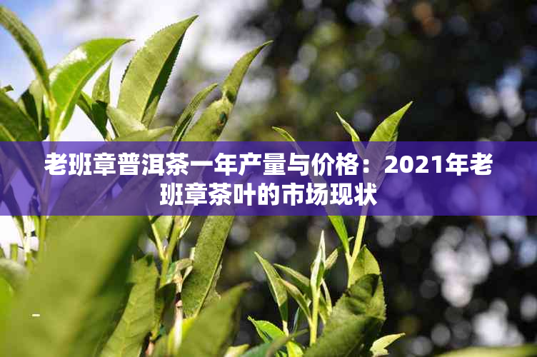 老班章普洱茶一年产量与价格：2021年老班章茶叶的市场现状