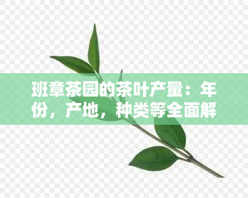 班章茶园的茶叶产量：年份，产地，种类等全面解析