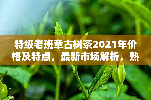 特级老班章古树茶2021年价格及特点，最新市场解析，熟茶与原叶对比