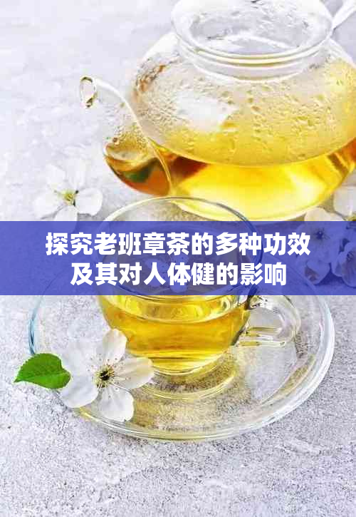 探究老班章茶的多种功效及其对人体健的影响