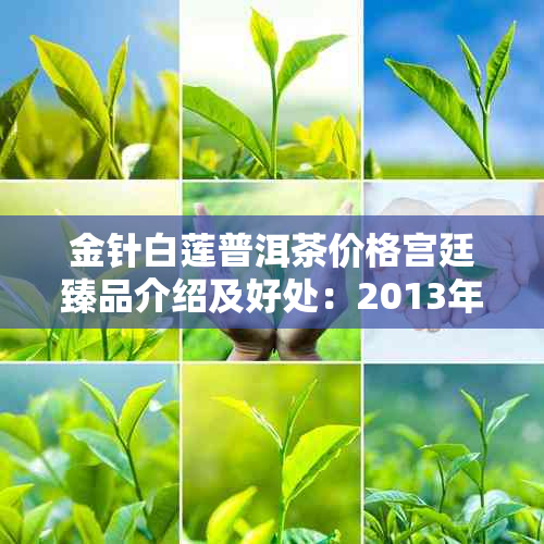 金针白莲普洱茶价格宫廷臻品介绍及好处：2013年熟茶等级与相关信息