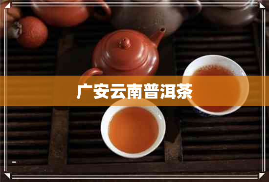 广安云南普洱茶