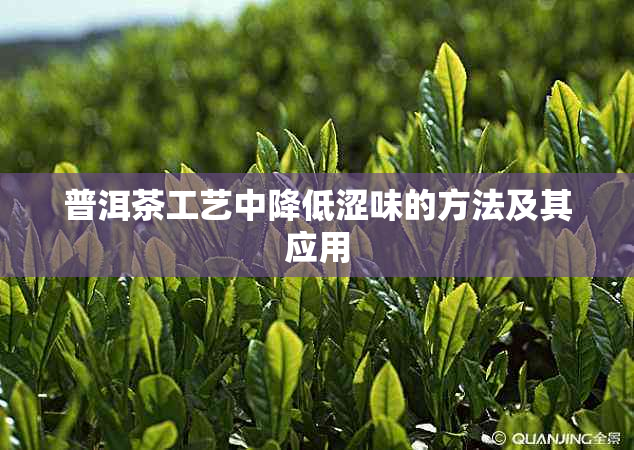 普洱茶工艺中降低涩味的方法及其应用