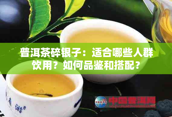 普洱茶碎银子：适合哪些人群饮用？如何品鉴和搭配？