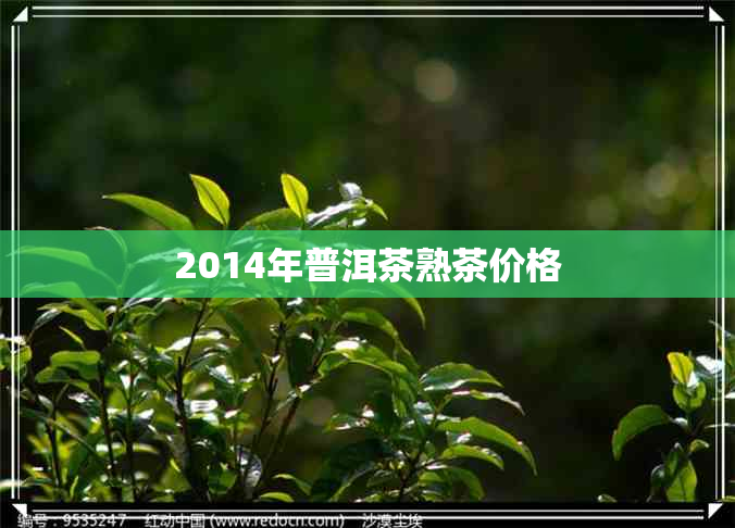 2014年普洱茶熟茶价格