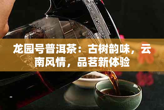 龙园号普洱茶：古树韵味，云南风情，品茗新体验