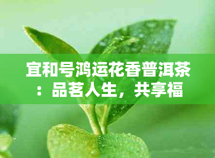 宜和号鸿运花香普洱茶：品茗人生，共享福