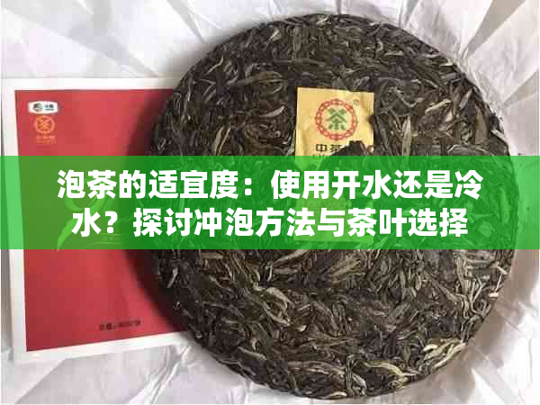 泡茶的适宜度：使用开水还是冷水？探讨冲泡方法与茶叶选择