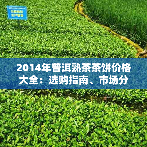 2014年普洱熟茶茶饼价格大全：选购指南、市场分析与品鉴技巧