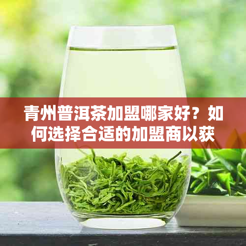 青州普洱茶加盟哪家好？如何选择合适的加盟商以获取更好的收益和支持？