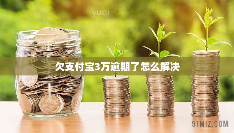 欠支付宝3万逾期了怎么解决