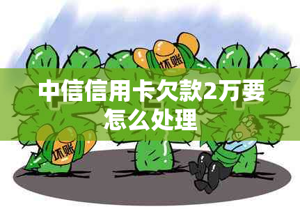 中信信用卡欠款2万要怎么处理