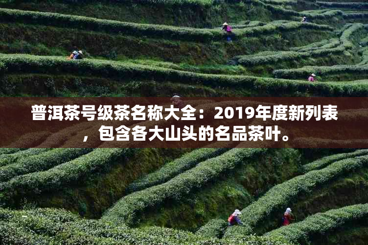 普洱茶号级茶名称大全：2019年度新列表，包含各大山头的名品茶叶。