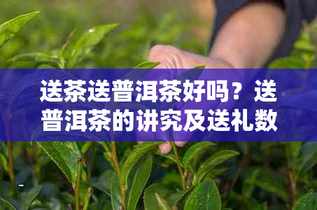 送茶送普洱茶好吗？送普洱茶的讲究及送礼数量