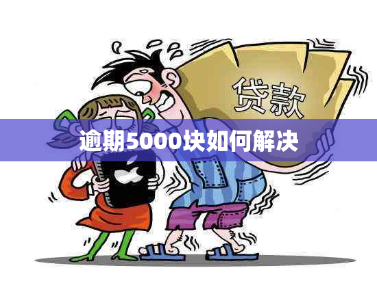 逾期5000块如何解决