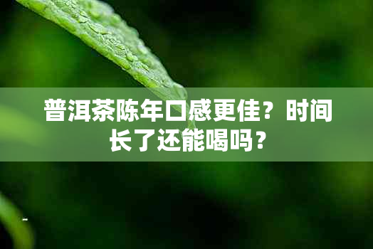 普洱茶陈年口感更佳？时间长了还能喝吗？