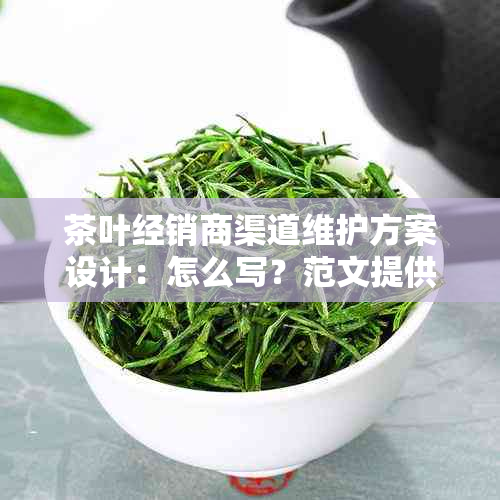 茶叶经销商渠道维护方案设计：怎么写？范文提供！