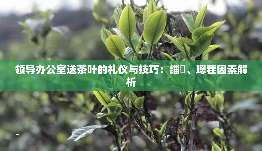 领导送茶叶的礼仪与技巧：缁欓、璁茬因素解析