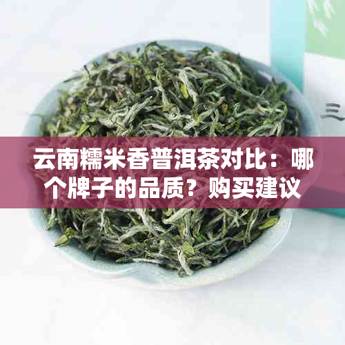 云南糯米香普洱茶对比：哪个牌子的品质？购买建议和推荐