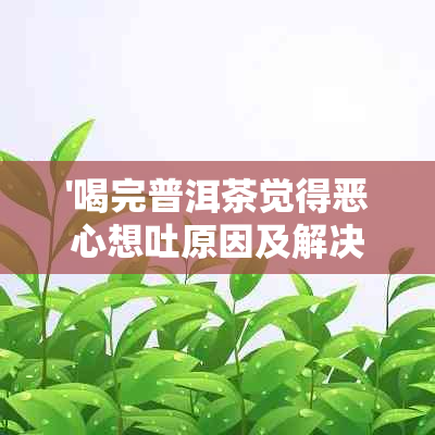 '喝完普洱茶觉得恶心想吐原因及解决方法'