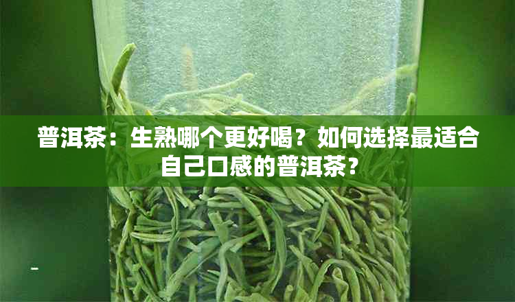 普洱茶：生熟哪个更好喝？如何选择最适合自己口感的普洱茶？